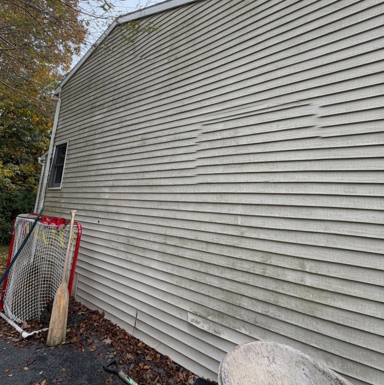 Vinyl siding gray-green with algae before a soft wash